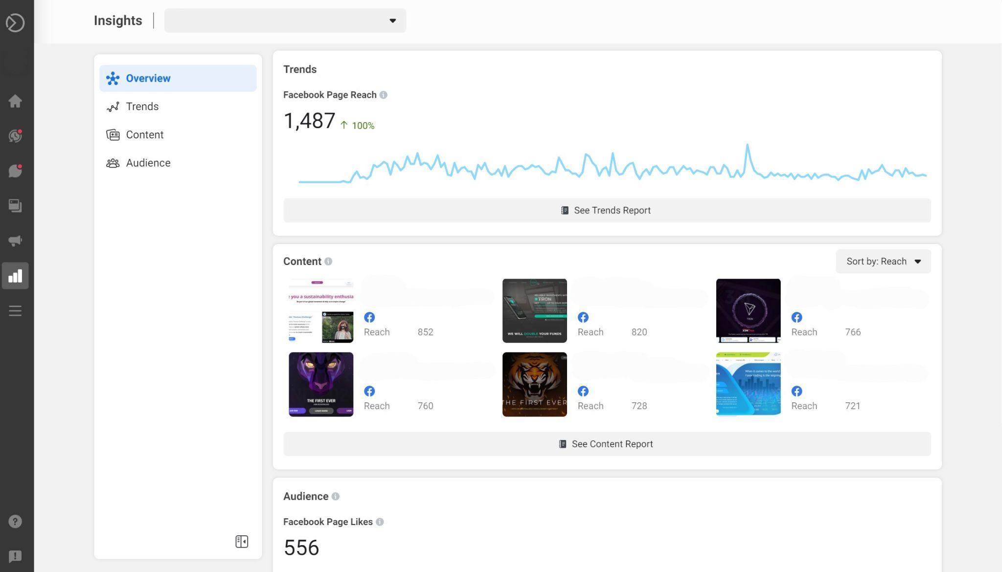 Insights section in the Facebook Business Suite dashboard displaying Facebook Page Reach and Content sections