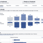 facebook audience insight