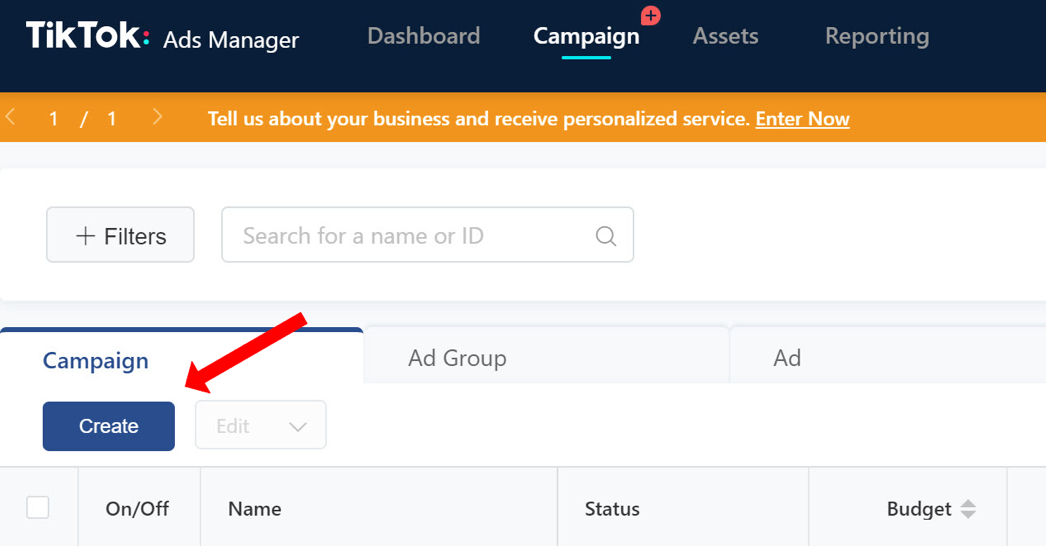 TikTok ad creation
